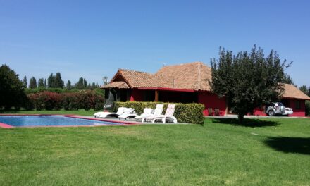 ISLA DE MAIPO – LOS PERALES (¡REBAJADA!)