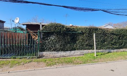 ISLA DE MAIPO – LO HERRERA